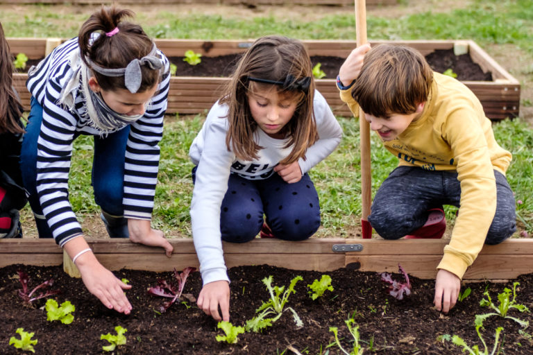 ORERETAIKASTOLA4 768x512